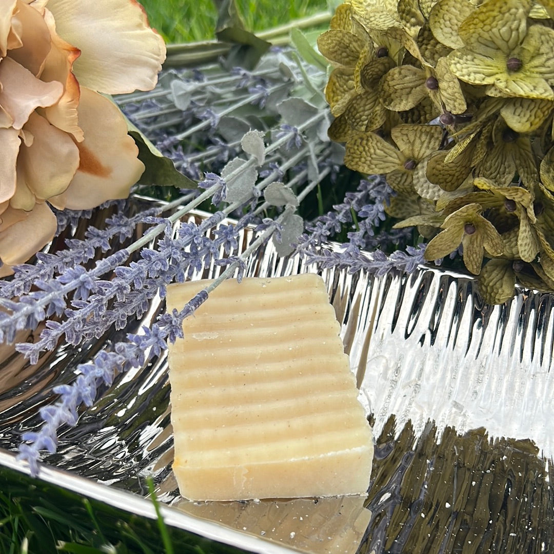 Soap Lavender & Rosemary shampoo bar